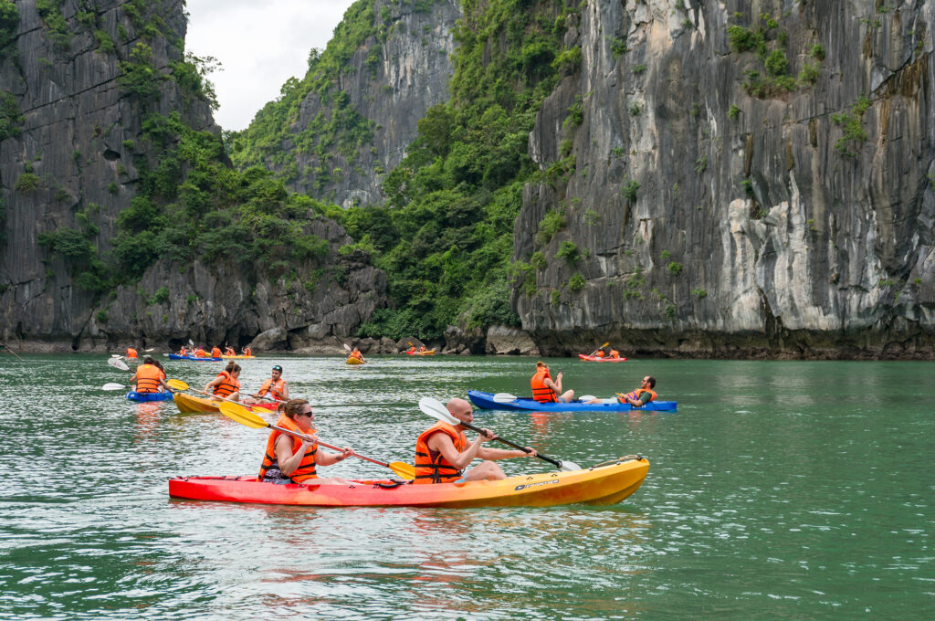 'Ha Long Bay Sea Lion Cruise