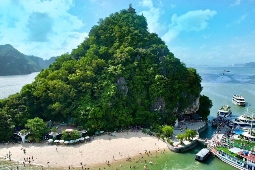 'Ha Long Bay Sea Lion Cruise