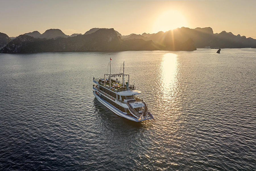 sea lion luxury cruise Halong Bay