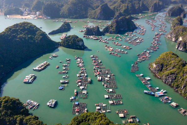 Read more about the article Halong Bay vs Lan Ha Bay — Which Bay Should You Cruise? (Honest Comparison)