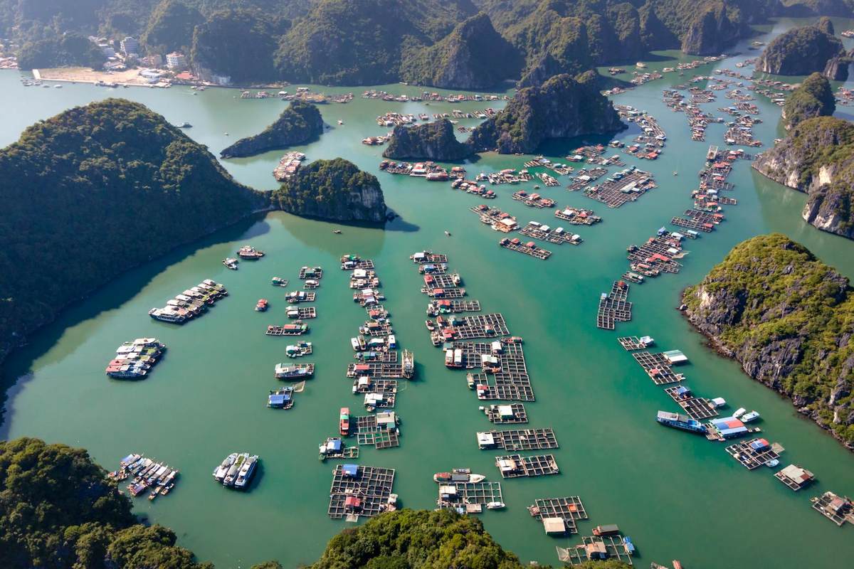 Read more about the article Halong Bay vs Lan Ha Bay — Which Bay Should You Cruise? (Honest Comparison)