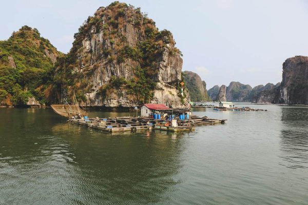 Read more about the article Kayaking in Halong Bay & Lan Ha Bay — Complete Guide for All Levels