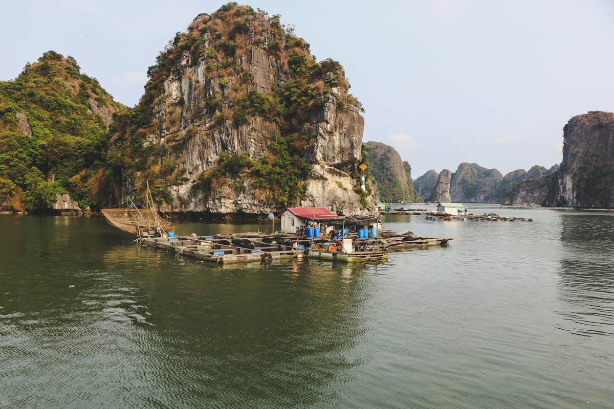 Read more about the article Kayaking in Halong Bay & Lan Ha Bay — Complete Guide for All Levels